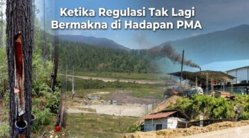 Ketika Regulasi Tak Lagi Bermakna di Hadapan PMA